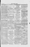 Jewish World Friday 11 May 1877 Page 7
