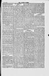 Jewish World Friday 25 May 1877 Page 5