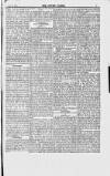 Jewish World Friday 29 June 1877 Page 5