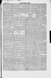 Jewish World Friday 17 August 1877 Page 5