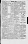 Jewish World Friday 17 August 1877 Page 7