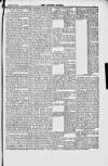 Jewish World Friday 31 August 1877 Page 7