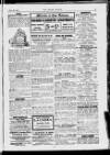 Jewish World Friday 28 June 1907 Page 5