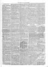 London & Provincial News and General Advertiser Saturday 30 January 1864 Page 7