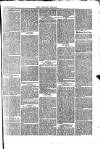 Langport & Somerton Herald Saturday 08 April 1865 Page 3