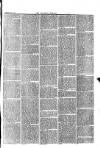 Langport & Somerton Herald Saturday 12 August 1865 Page 3