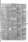 Langport & Somerton Herald Saturday 09 September 1865 Page 7