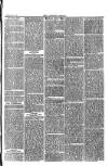 Langport & Somerton Herald Saturday 02 December 1865 Page 3