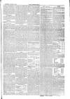 Langport & Somerton Herald Saturday 02 January 1869 Page 5