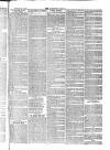 Langport & Somerton Herald Saturday 16 January 1869 Page 7