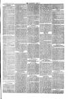 Langport & Somerton Herald Saturday 06 March 1869 Page 3