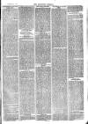 Langport & Somerton Herald Saturday 05 December 1874 Page 3