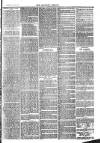 Langport & Somerton Herald Saturday 30 October 1875 Page 7