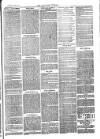 Langport & Somerton Herald Saturday 17 June 1876 Page 7