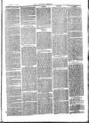 Langport & Somerton Herald Saturday 22 July 1876 Page 7