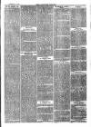 Langport & Somerton Herald Saturday 02 December 1876 Page 3