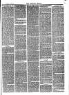 Langport & Somerton Herald Saturday 30 December 1876 Page 3
