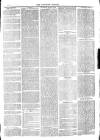 Langport & Somerton Herald Saturday 05 January 1878 Page 3