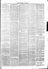 Langport & Somerton Herald Saturday 19 January 1878 Page 3