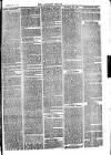 Langport & Somerton Herald Saturday 14 December 1878 Page 3