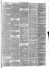 Langport & Somerton Herald Saturday 10 January 1880 Page 7