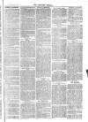 Langport & Somerton Herald Saturday 21 February 1880 Page 3