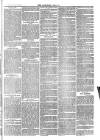 Langport & Somerton Herald Saturday 13 March 1880 Page 7