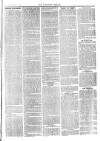 Langport & Somerton Herald Saturday 29 May 1880 Page 3