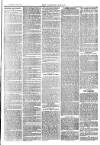 Langport & Somerton Herald Saturday 19 June 1880 Page 3