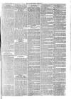 Langport & Somerton Herald Saturday 25 September 1880 Page 6