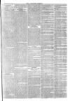 Langport & Somerton Herald Saturday 02 October 1880 Page 7