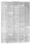 Langport & Somerton Herald Saturday 13 November 1880 Page 3