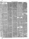 Langport & Somerton Herald Saturday 01 January 1881 Page 3