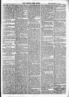 Brecknock Beacon Friday 29 February 1884 Page 5