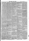 Brecknock Beacon Friday 19 December 1884 Page 5