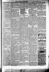 Brecknock Beacon Friday 23 January 1885 Page 5