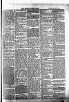 Brecknock Beacon Friday 30 January 1885 Page 5