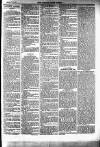 Brecknock Beacon Friday 06 February 1885 Page 3