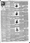 Brecknock Beacon Friday 16 February 1894 Page 3