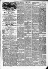 Brecknock Beacon Friday 16 November 1894 Page 5