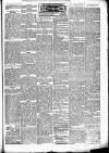 Brecknock Beacon Friday 04 January 1895 Page 5