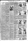 Radnorshire Standard Wednesday 21 December 1898 Page 7