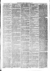 Kent Times Friday 16 April 1875 Page 3