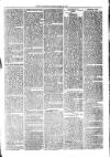 Kent Times Friday 16 April 1875 Page 5