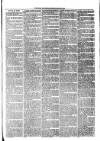 Kent Times Friday 23 April 1875 Page 3