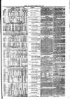 Kent Times Friday 19 November 1875 Page 3