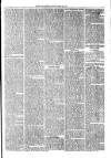 Kent Times Friday 24 December 1875 Page 5