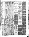 Kent Times Saturday 26 February 1876 Page 3