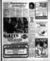 South Eastern Gazette Tuesday 25 March 1980 Page 29