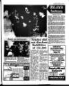 South Eastern Gazette Tuesday 27 January 1981 Page 3